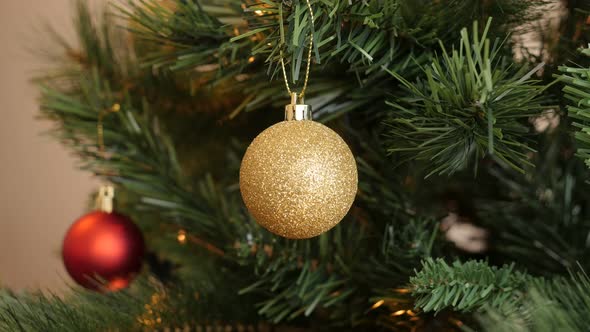 Gold bauble hanged on the branch 4K 2160p 30fps UltraHD footage - Shiny golden color ornament on Chr alt