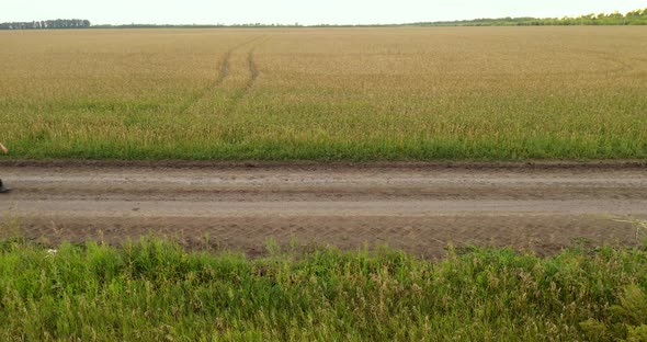 Agricultural Industry alt