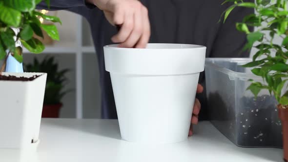 A Man Puts Soil Into New Pot After Replanting a Plant From an Old Pot