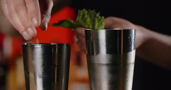 Barman Adds Fresh Mint Leaf to the Opened Shaker Making of the Cocktail with Season Greens Bartender