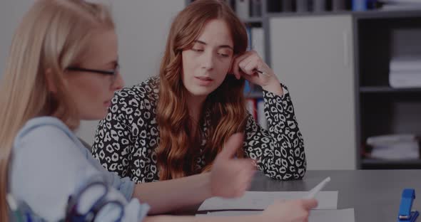Businesswoman Discussing Strategy with Colleague alt
