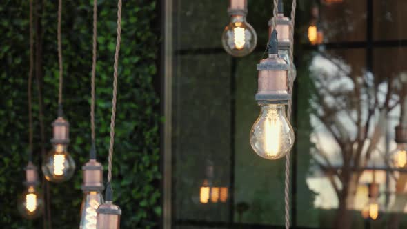 Decorative Filament Light Bulbs