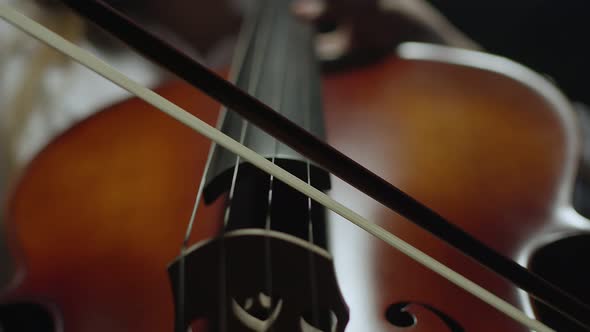 Musician Leads Bow Along Strings of Cello Playing Classical Music Closeup Front View alt