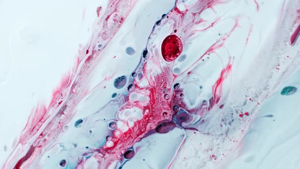 Red and White Color Paint Ink Slow Motion Video White Background alt