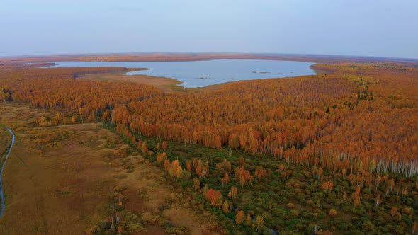 Aerial Top View of Beautiful Lake Surrounded By Colorful Forest in Autumn