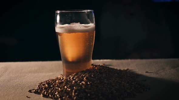 Softly Glowing Glass of Beer Surrounded by a Handful of Ripe Wheat.