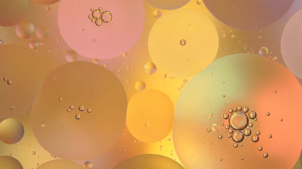 Colorful Bubbles. Oil And Water Abstract Background