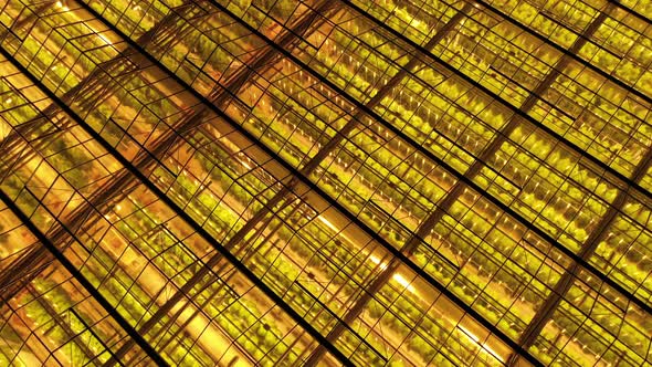 Industrial Greenhouses for Growing Vegetables Fruits Flowers