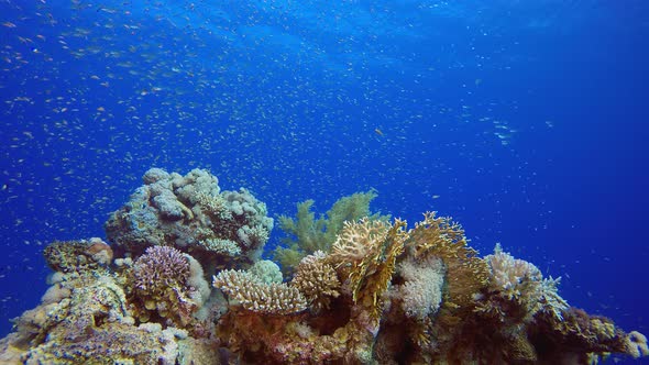 Sea Water background alt