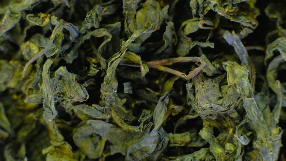 Rotating Pile of Jasmine Green Tea Macro Video alt