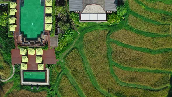 Mae Rim Rice Terraces and Resort in Chiang Mai Province, Thailand alt