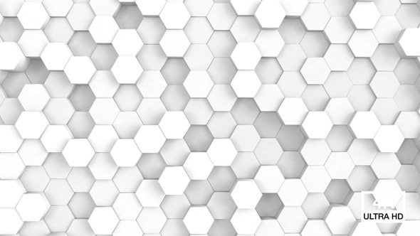 Hãy tận hưởng một khung cảnh tuyệt đẹp với nền hexagon độc đáo, tạo ra một hiệu ứng rực rỡ cho bức ảnh của bạn. Bạn sẽ không muốn bỏ qua khả năng sáng tạo vô tận của nền hexagon này.