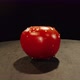 Camera Revolves Around a Red Tomato with Drops of Water on a Table in Dark Room - VideoHive Item for Sale