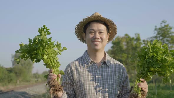 Slow motion 4K Happy Asian farmer harvest fresh vegetables in organic farm. alt