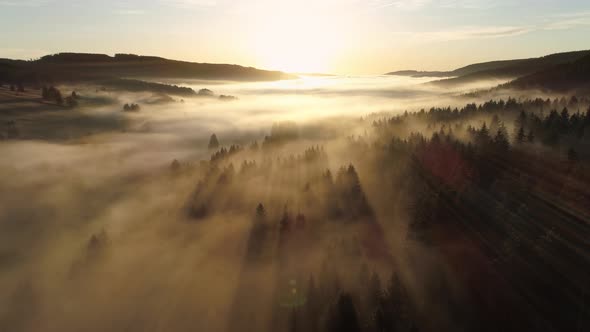Aerial view of sunrise with fog above lake Schluchsee, Germany alt