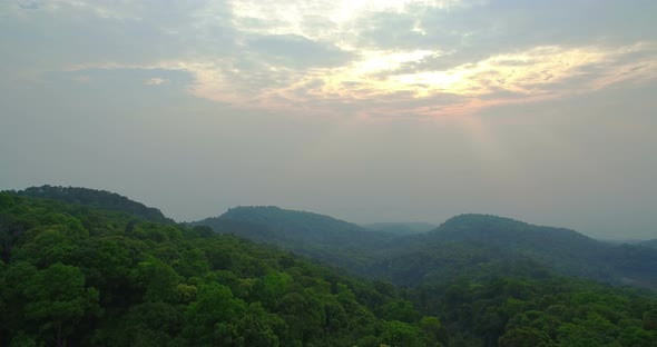 Perfect Forest On High Mountain alt