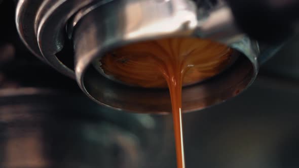 Pouring coffee stream from professional machine in cup.  alt