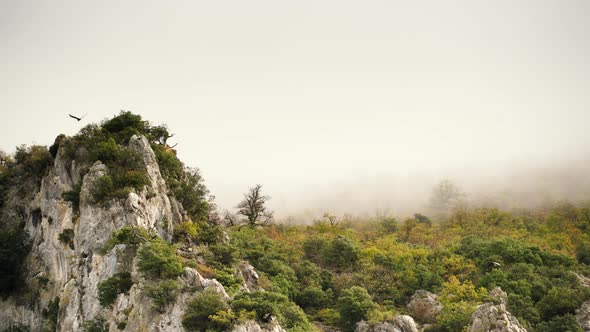 Cloudy Mountains and Birds Flying. alt