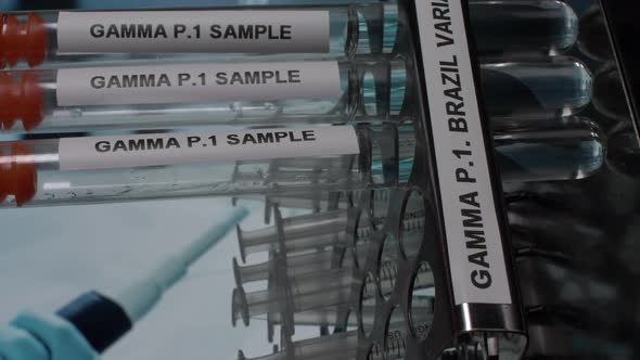 Gamma P.1 Brazil Variant Test Tube Sample Vials Taken Off From Rack. Vertical Video, Locked Off alt