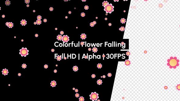 Colorful Flower Falling with Alpha alt