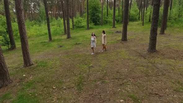 Top View of Young Women Wear Summer Dresses Standing in the Top of Rock and Looking at Amazing View alt