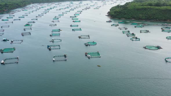 Fish Farm with Cages for Fish and Shrimp in the Philippines, Luzon. Aerial View of Fish Ponds for alt
