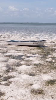 Vertical Video of Low Tide in the Ocean Near the Coast of Zanzibar Tanzania alt