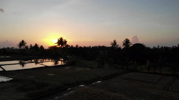 Sun Setting in the Rice Fields - Bali, Indonesia