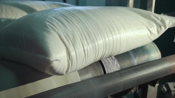 Full Bags Lie on the Conveyor Belt alt