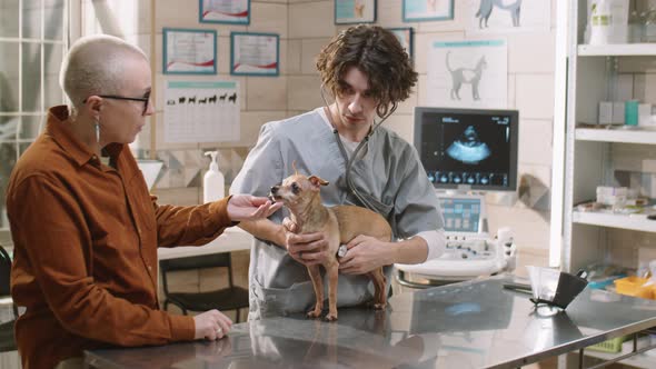 Veterinarian Giving Checkup to Dog in Clinic alt
