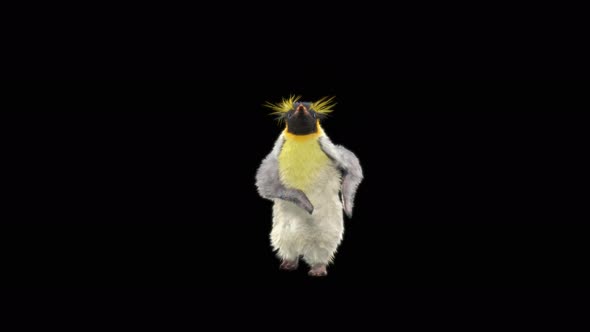 Penguin Dancing 4K alt