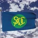 SADS Flag Waving - VideoHive Item for Sale