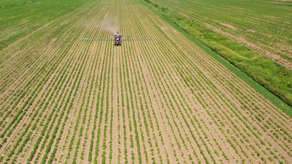 Tractor Spraying Pesticides on Vegetable Field with Sprayer alt