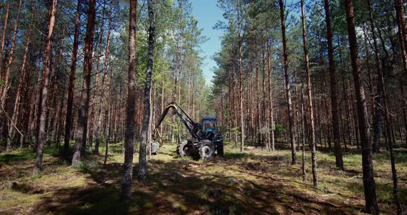Cutting down machinery using special machinery.