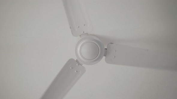 Ceiling Fan and Light Fitting Combination on the Ceiling of a Residential Building Viewed From Below alt