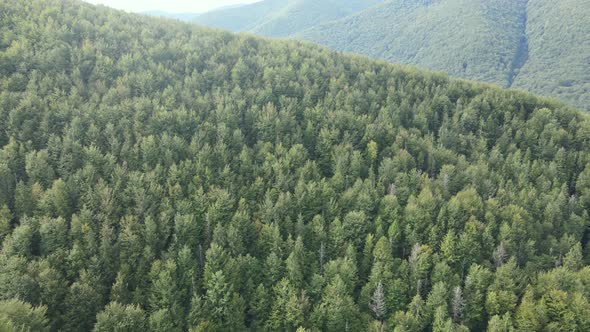 Trees in the Mountains Slow Motion. Aerial View of the Carpathian Mountains in Autumn. Ukraine alt
