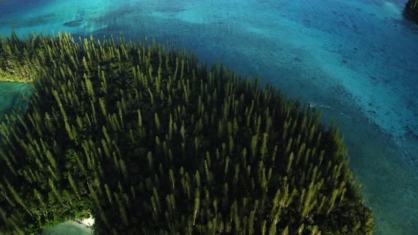 Bird's eye view flying over small island of columnar pine trees, Oro Bay, Isle of Pines. alt