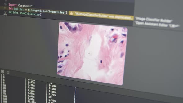 Nuclei Cluster Microscopy With Neural Network Machine Learning Algorithm alt