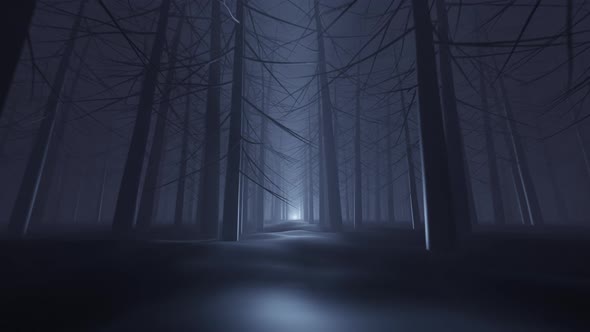 The Dark Forest 4K
