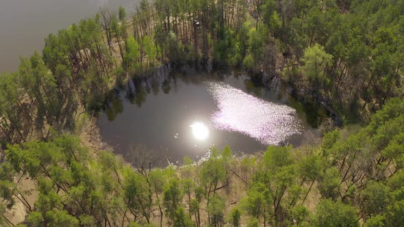  Lake Surrounded By Green Spring Forest.top View of a Mysterious Lake