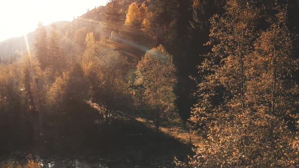 Sun Flare Mountain River Aerial alt