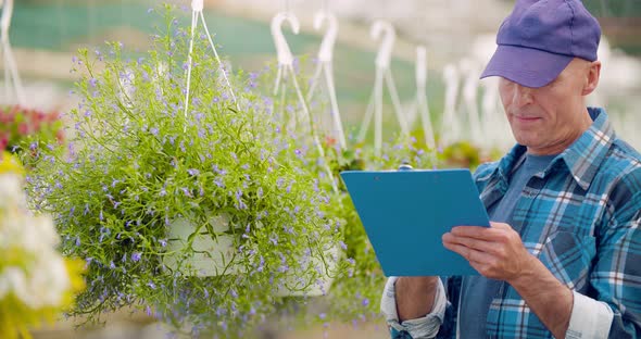 Agriculture Confident Male Gardener Examining Potted Flower Plant alt