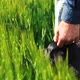 Dog And Farmer - VideoHive Item for Sale