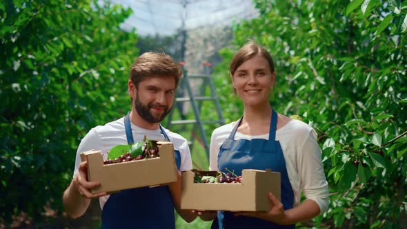 Couple Farmers Presenting Cherries Box in Local Business Agriculture Plantation alt