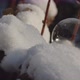 Bubble Lying Amongst Snow On Plants - VideoHive Item for Sale