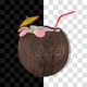 Coconut - VideoHive Item for Sale