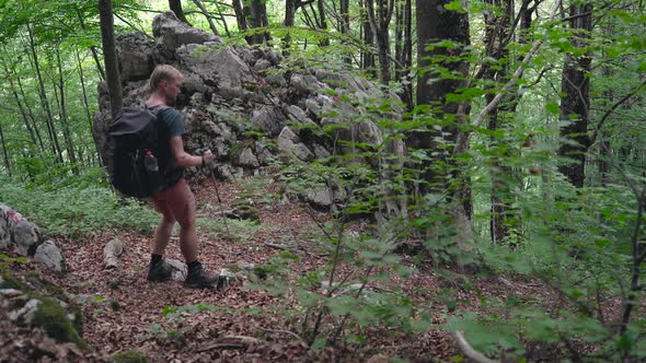 Tourist Man Hiker with Backpack Walking in Mountains Forest with Rocks