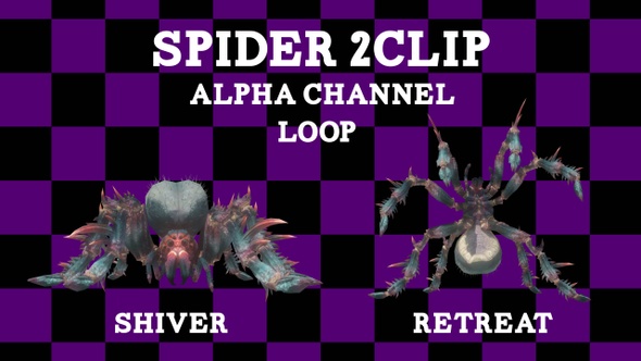 Spider 2Clip Loop Alpha