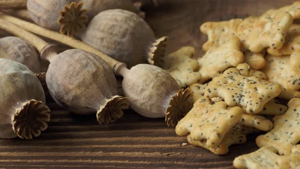 Baked party poppy seed crackers, dry poppy heads . Salty snacks