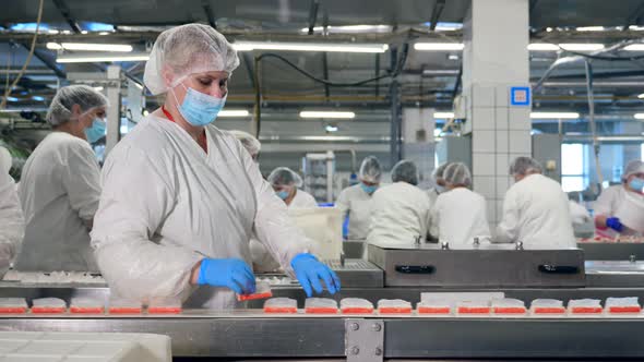 Conveyor and Crab Sticks Getting Removed From It By Female Staff alt